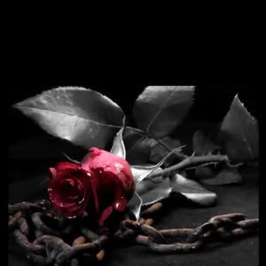 Meet your Posher, Sonia